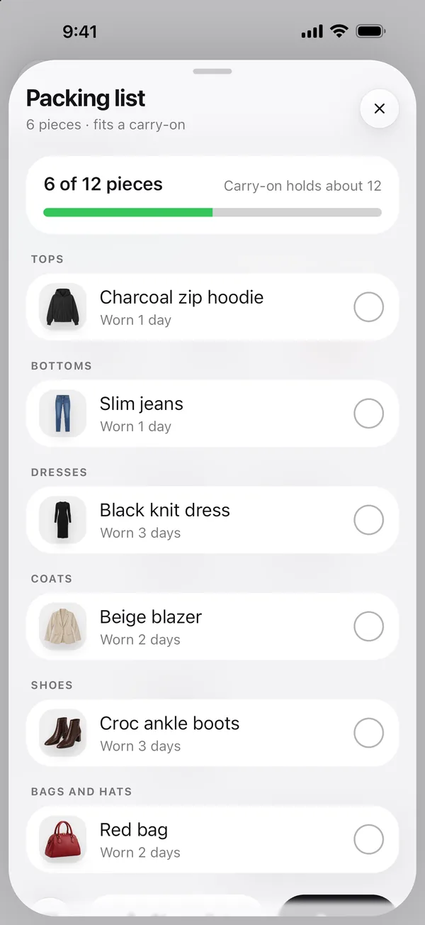 The trip's packing list: 6 pieces that fit a carry-on, grouped into tops, bottoms, dresses, coats, shoes and bags